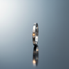 Classic Stainless Steel Ring on gloss mirror surface